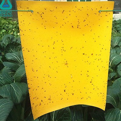 黄色粘虫板大棚温室防虫诱虫黄板批发厂家直销定制